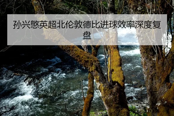 孙兴慜英超北伦敦德比进球效率深度复盘